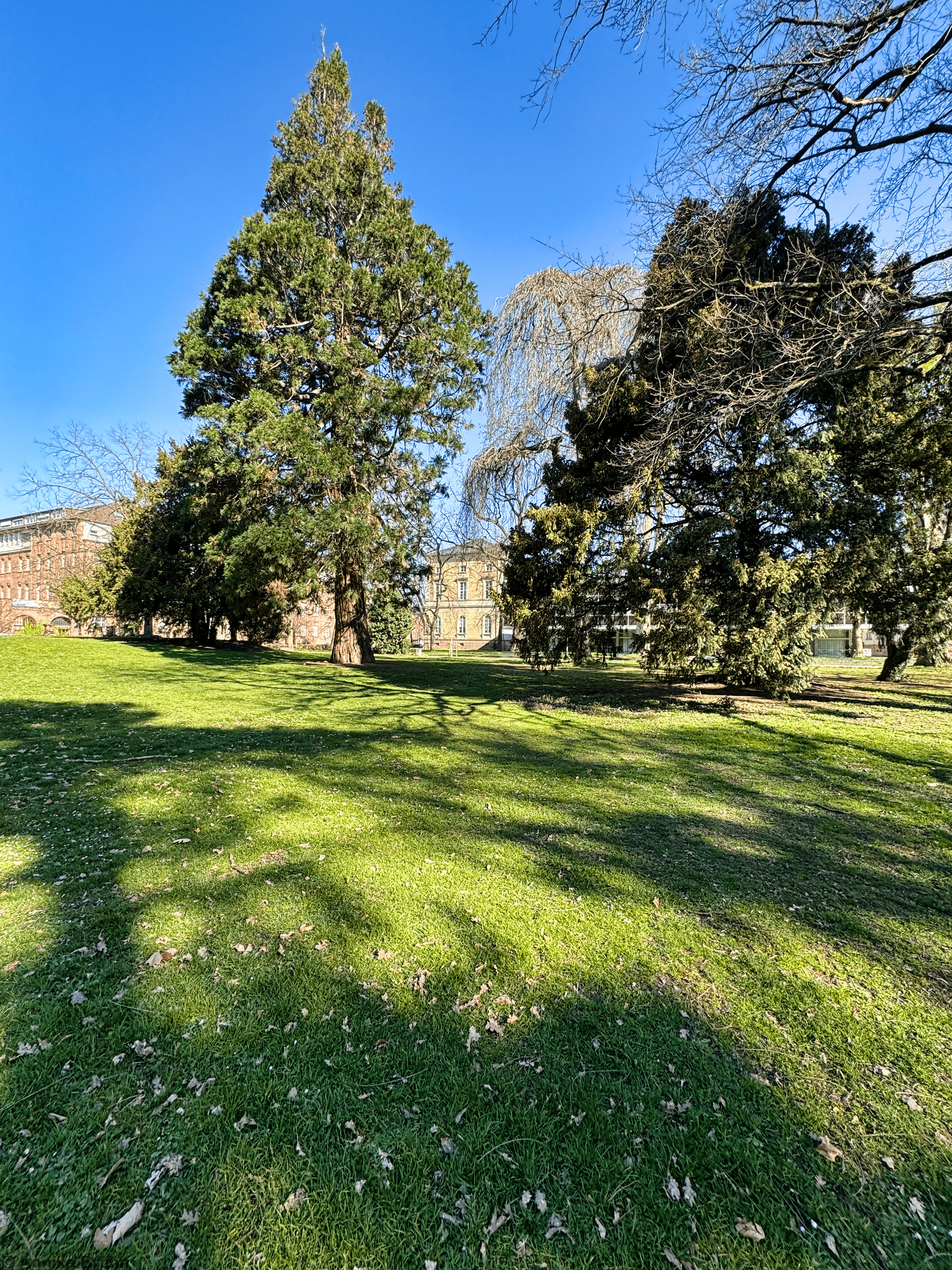 Nymphengarten Karlsruhe